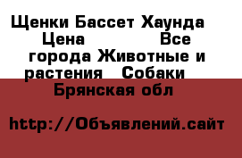 Щенки Бассет Хаунда  › Цена ­ 25 000 - Все города Животные и растения » Собаки   . Брянская обл.